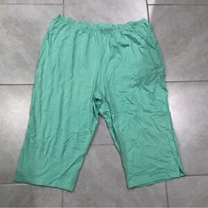NWOT Easy Essentials Green Casual Shorts